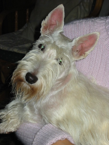 P'tite leeloo du domaine du Bois Colin